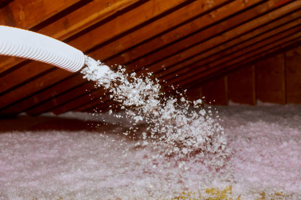 Best Soundproof Insulation Installation  in Capac, MI
