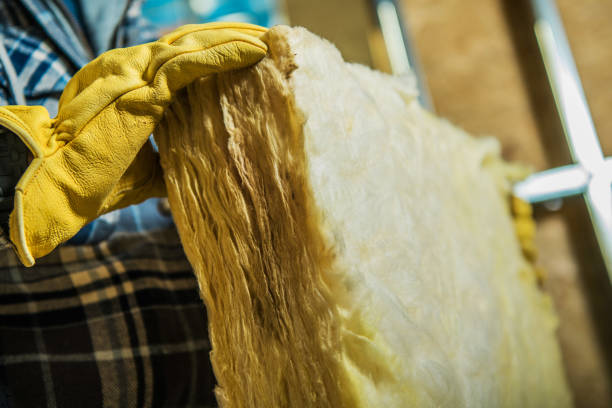 Best Residential Insulation Services  in Capac, MI
