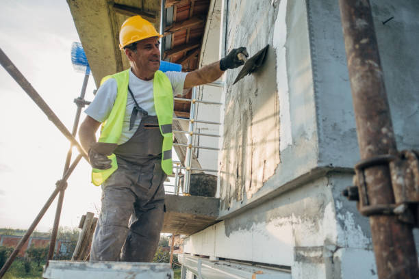 Best Insulation Contractor Near Me  in Capac, MI