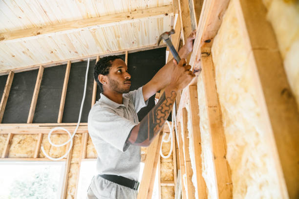 Best Insulation Repair Services  in Capac, MI