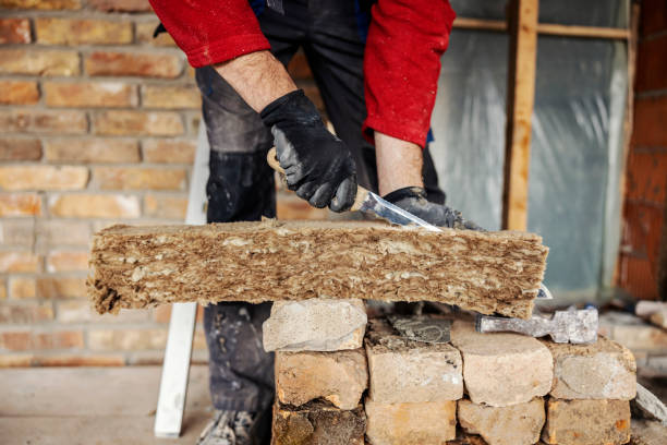 Best Attic Insulation Installation  in Capac, MI