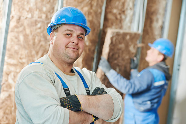 Best Blown-in Insulation  in Capac, MI