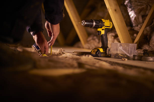 Best Insulation Contractors for Homes  in Capac, MI