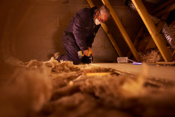 Best Local Insulation Services  in Capac, MI